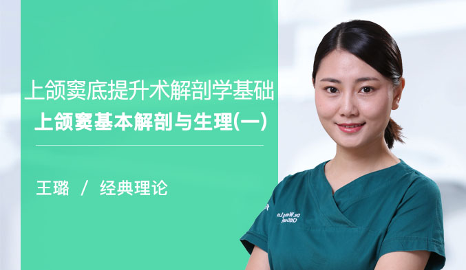 上颌窦底提升术解剖学基础——上颌窦基本解剖与生理（一）