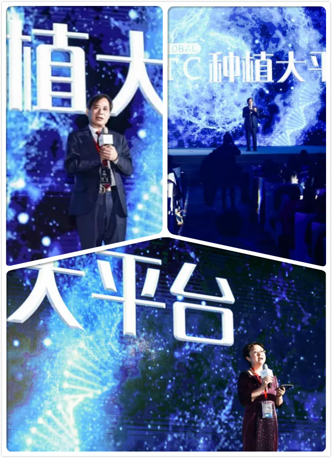 BITC口腔种植国际论坛暨第六次BITC口腔种植大奖赛总决赛